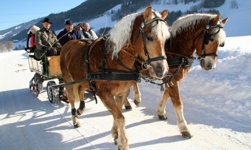 Pferdekutschen © Schladming-Dachstein/Raffalt