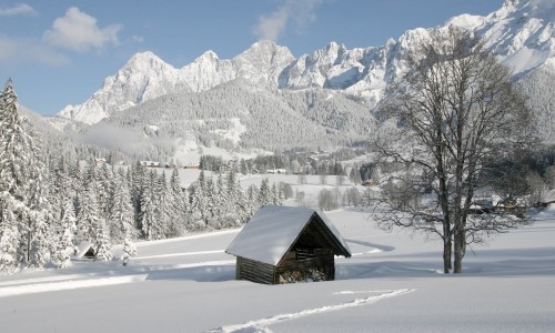 Verschneites Winterland - © C. Höflehner